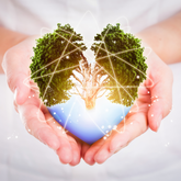 Balancing Black Friday Savings with Environmental Responsibility