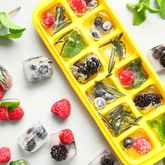 Make the Most of Seasonal Fruit with Filtered Ice Cubes & Milky Blends
