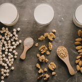The Beginner's Guide to Milky Plant Plus: Everything You Need to Know Before You Start