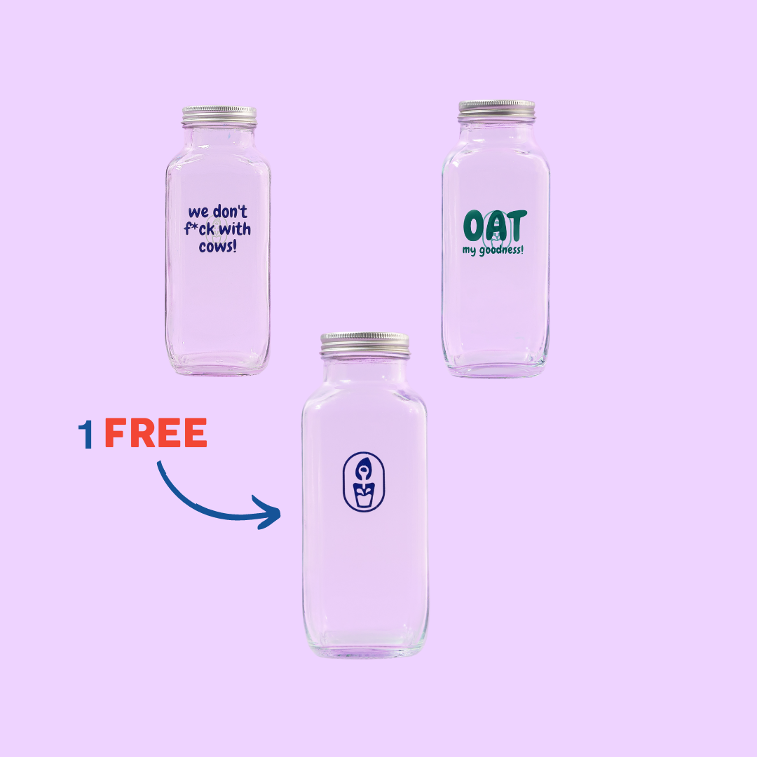 Lot de 3 bouteilles