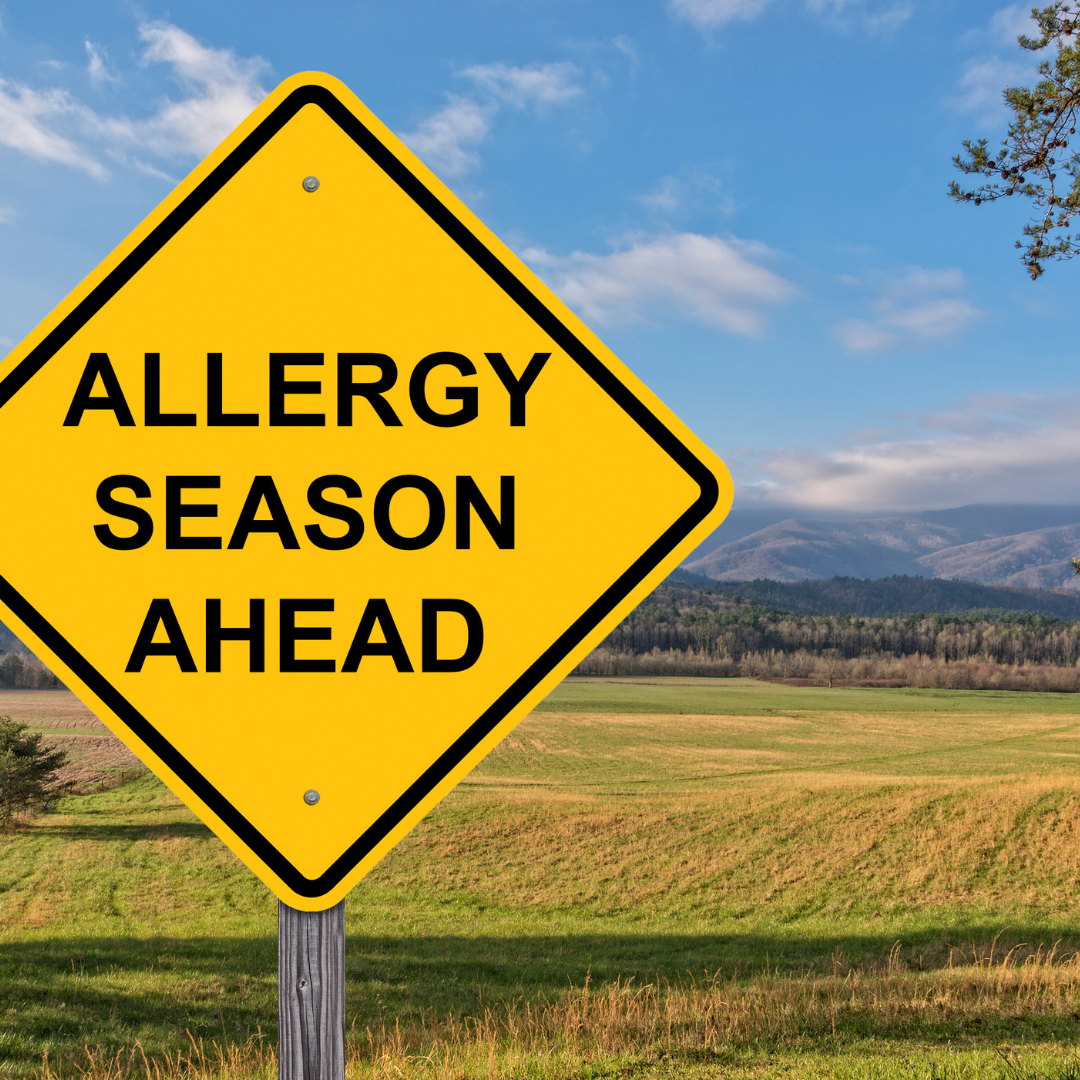 Allergy Season Support: Anti-Inflammatory Plant Milk Recipes