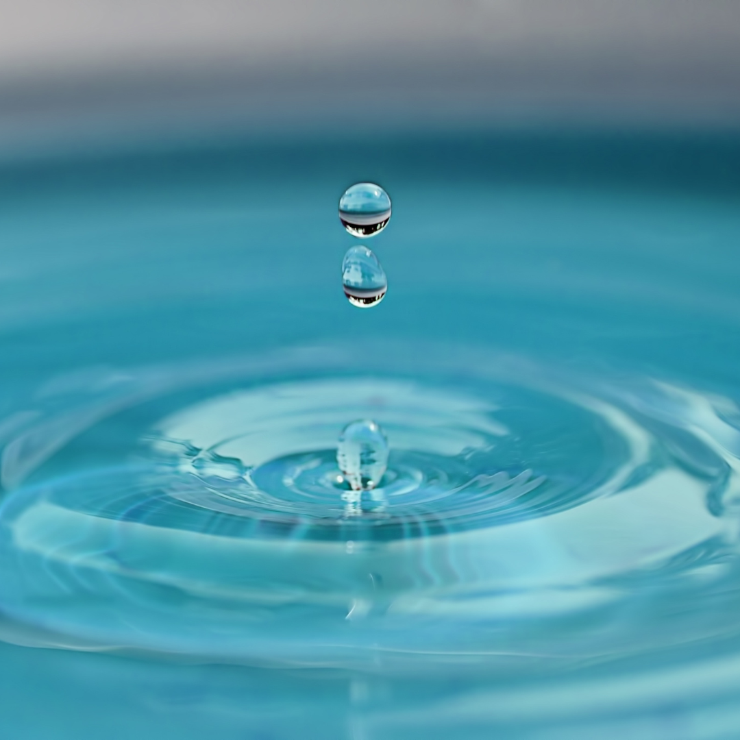How Water Supports Liver Function (Without Detox Fads)