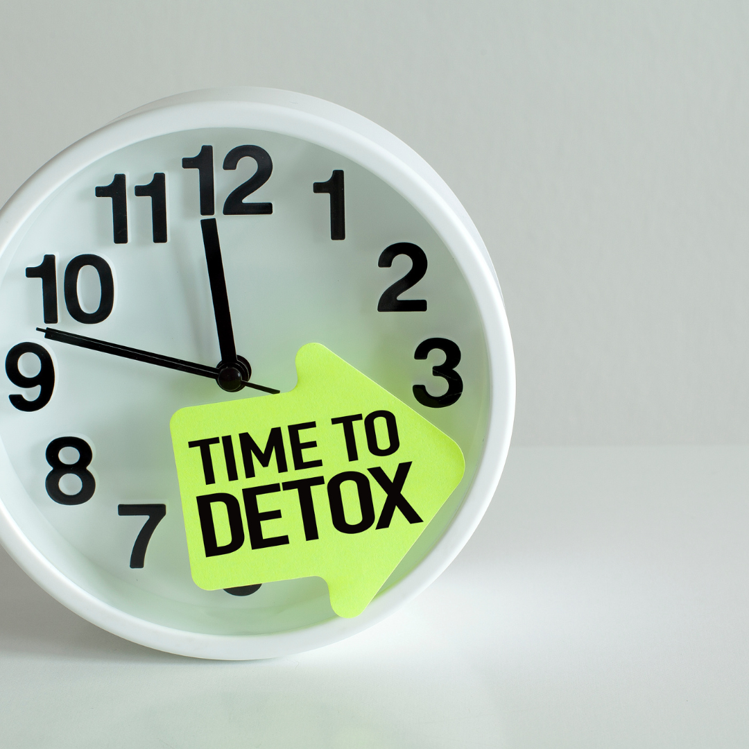 Spring Detox: How Fresh Plant Milk Supports Gut Health, Immunity, and a Vegan Lifestyle