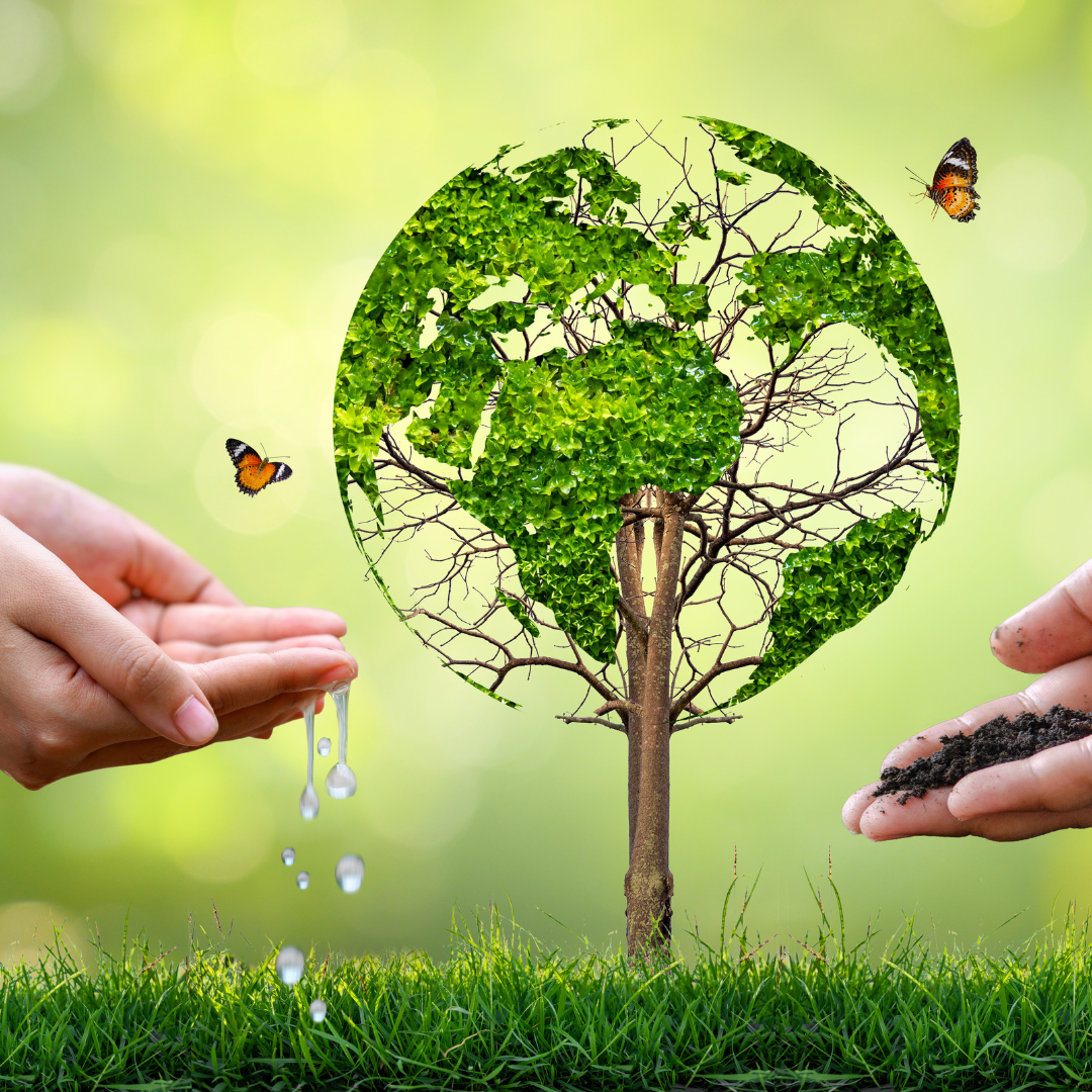 The Environmental Impact of Shelf Almond Milk Production: Why Making it at Home is Greener