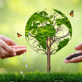 The Environmental Impact of Shelf Almond Milk Production: Why Making it at Home is Greener