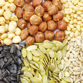 The Power of Nuts and Seeds: Best Ingredients for Homemade Plant Milk