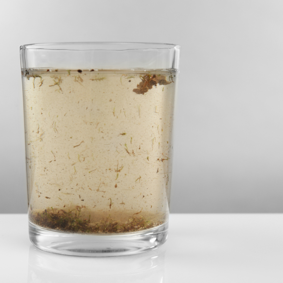 Understanding the Limitations of In-Home Water Filters Against PFAS Contaminants