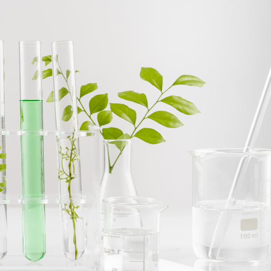 Veganism in 2026: What the Numbers and the Science Actually Say