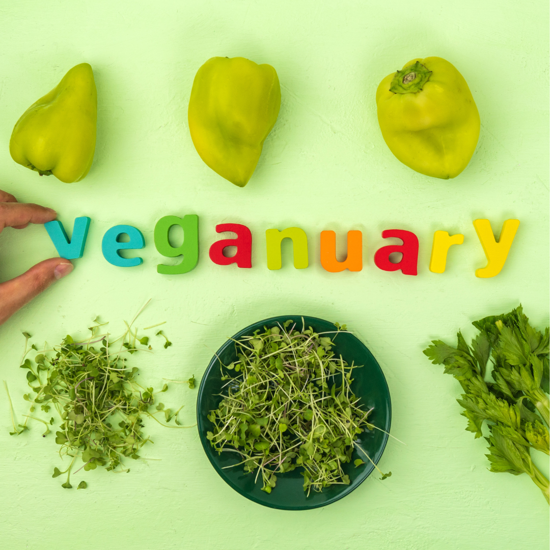 Why Fresh Plant Milk is the Perfect Addition to Your Veganuary Journey