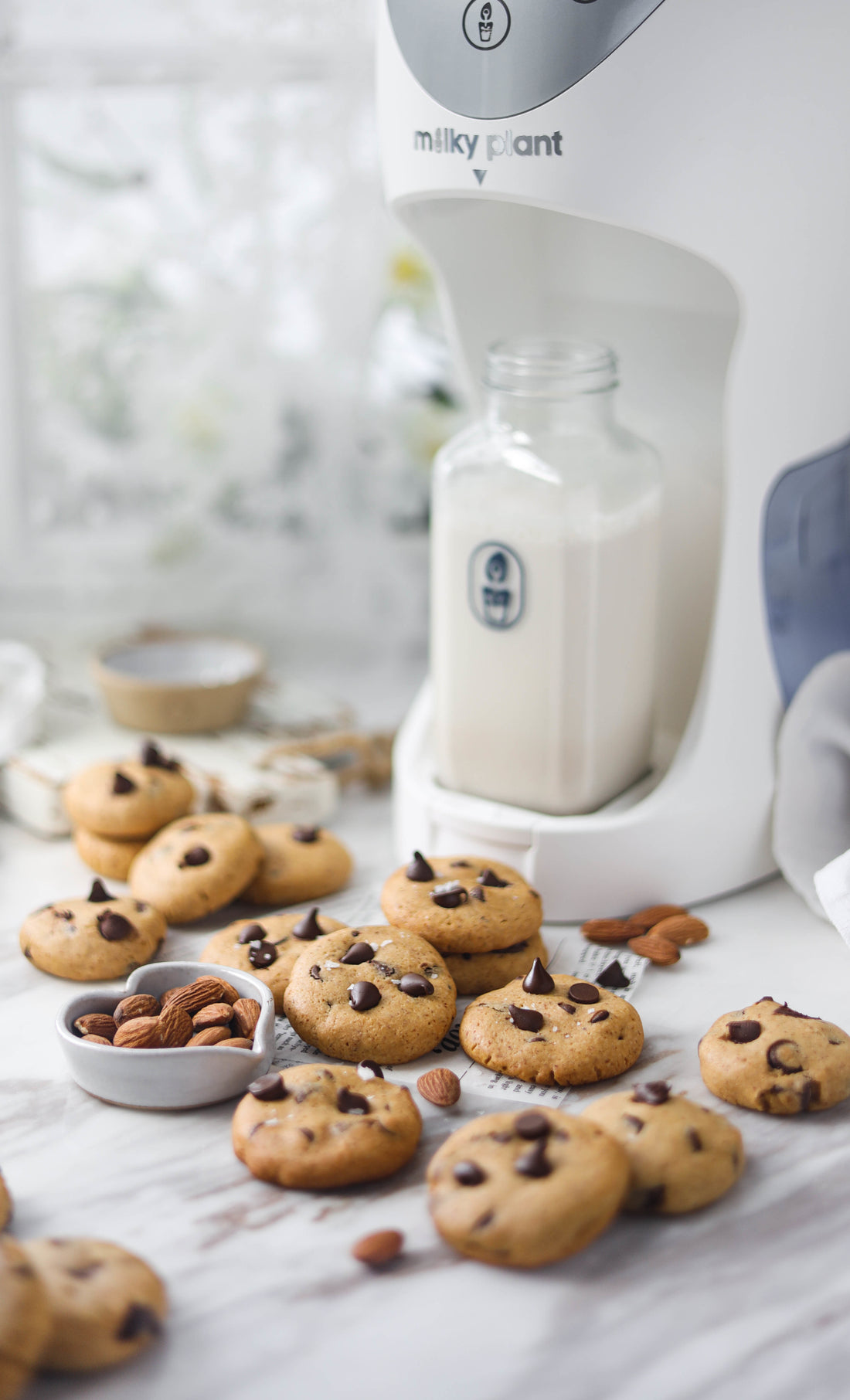 Almond Milk Pulp Chocolate Chip Cookie